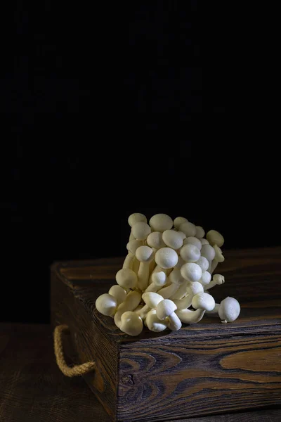 stock image Fresh uncooked bunapi white shimeji edible mushrooms from Asia on a dark wooden background.