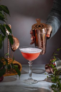 Barmen, bakır karıştırıcıdan taze pembe bir kokteyl dolduruyor. Yeşilliklerle çevrili bir coupe bardağına.