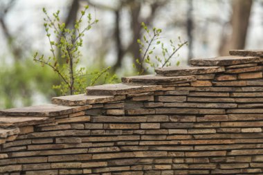 Yay dalları büyüyen taş duvar yapısı, doğa ve mimari arasında güzel bir kontrast oluşturuyor.