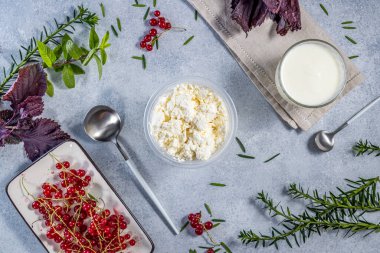 Taze süzme peynir, yoğurt, frenk üzümü ve aromatik otlar gri arka planda, sağlıklı ve iştah açıcı bir mutfak sahnesi hazırlıyorlar.