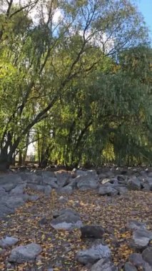 Kamera hareketi, Ontario Gölü 'nün sakin kıyı şeridini güzel bir sonbahar gününde canlı sonbahar renklerini yansıtıyor.