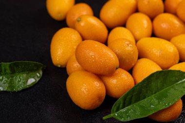 Su damlacıklarıyla süslenmiş canlı kumkatlar, koyu yeşil arka planda parlak yeşil yaprakların yanında büyüleyici bir ekran oluşturur.