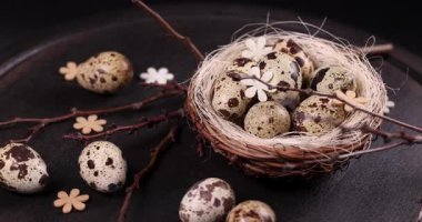 Kırsal ahşap süslemeli yuvaya yerleştirilmiş narin bıldırcın yumurtaları koyu minimalist arka plana karşı doğal benekli dokuyu sergiliyor.