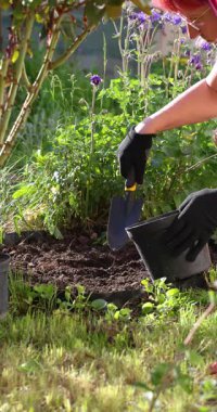 Bahçe işçisi profesyonel koruyucu eldivenler takıyor seramik bahçe tenceresine zengin toprak ekliyor güneşli bahar günlerinde açık havada çalışırken küçük el kameralı mala kullanıyor.