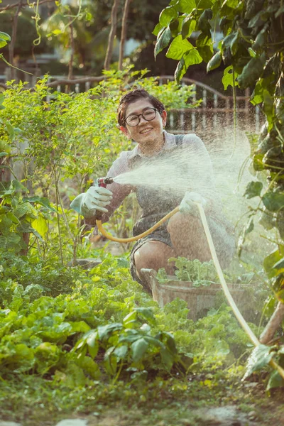 Bahçesinde Organik Sebze Sulayan Asyalı Kadın — Stok fotoğraf