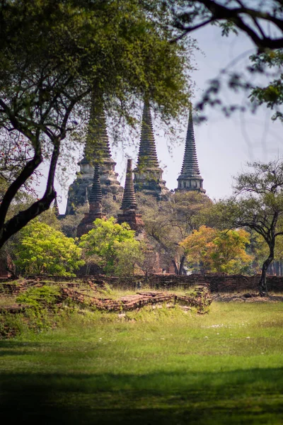 Ola Pagoda Ayuthaya Patrimonio Humanidad Unesco Tailandia — Foto de Stock