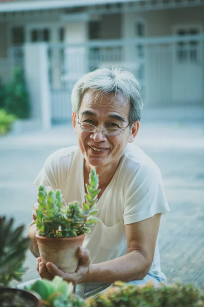 Szczęście Twarz Azji Senior Człowiek Soczysty Houseplant Ręku — Zdjęcie stockowe