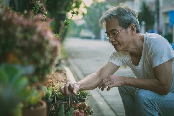 stock image asian old man take care houseplant at home garden