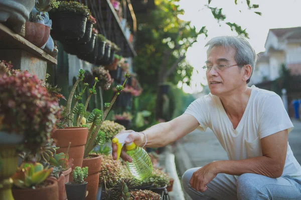 Asian Senior Man Watering Houseplant Home Garden — Stock Photo, Image