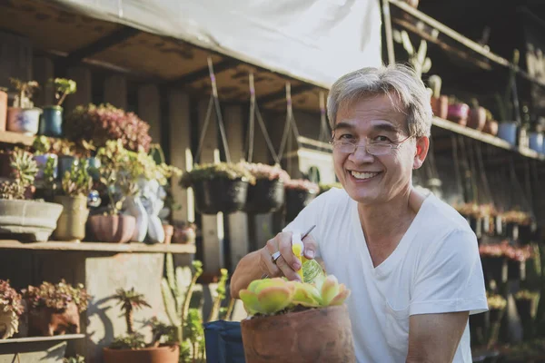 Asyalı Kıdemli Dişlek Gülümseyen Mutlu Yüzlü Elinde Lezzetli Bir Bitki — Stok fotoğraf