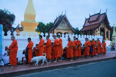 Luang prabang laos - 22 Haziran 2023: Köylü ve turist, Luang Prabang 'ın en ünlü şehir simgesi olan Wat sensoukharam' da sabah erken saatlerde Budist keşişe yapışkan pirinç sunuyorlar.