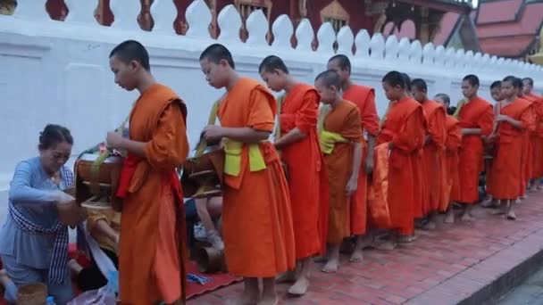 Luangprabang Lao July20 2023 Groep Monniken Die Plakkerige Rijst Ontvangen — Stockvideo