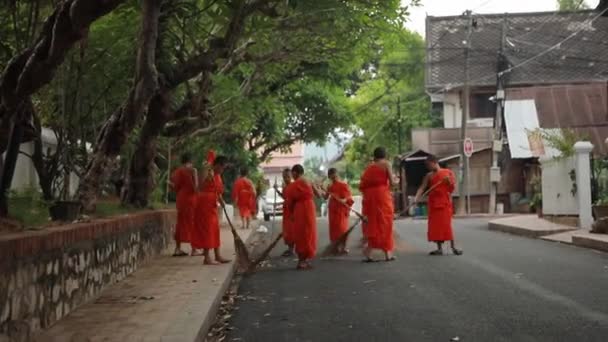 Luangprabang Lao July19 2023 Grupo Novicios Calle Junto Templo Madrugada — Vídeo de stock