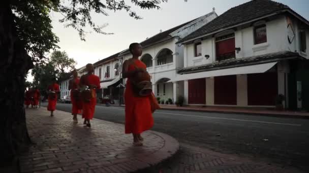 Luangprabang Lao Julho22 2023 Monge Budista Caminhando Rua Cidade Luangprabang — Vídeo de Stock