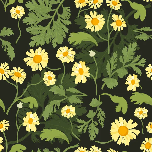 Seamless Pattern Feverfew Spurs Flowers Dark Background Pattern Few Levels — Stock Vector