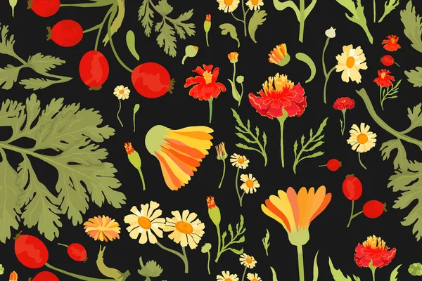 Seamless pattern with vibrant garden flowers. Multicolored flower parts are isolated on the black background. Hand-drawn parts of the marigold, calendula, chamomile, and rose fruits.