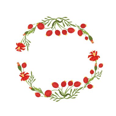 Renkli kadife çiçekleri ve köpek gülü meyveleriyle izole edilmiş simetrik çelenk. Çiçekler ve meyveler beyaz arka plana yerleştirilir.