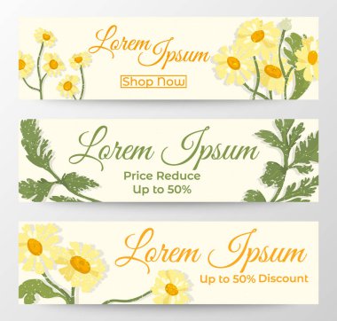 Beyaz arkaplan, yapraklar ve çiçeklerle süslenmiş ve kum gibi beyaz dokuya boyanmış web pankartları. Camomille ya da Feverfew 'in bitki parçaları.