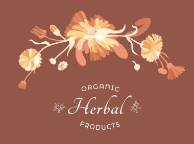 El yapımı bahçe bitkilerinin çiçekli kompozisyonu uzun, hafif kemerli bir buket ya da kenar olarak yapılmış. Kozmetik ürünler için narin bitkiler. Çiçek ürün etiketi için örnek metin.