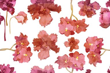 Beyaz arka planda, Afrika menekşeli çiçeklerle izole edilmiş kusursuz desenler var. Menekşelerin elle çizilmiş kısımları suluboya dokusundan dolayı çok güzel yaşlandırılmış..