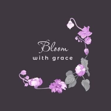 Tamamen renkli Afrika menekşeleriyle izole edilmiş çelenk. Karanlık bir arka planda, ortasında yazı olan canlı çiçek parçaları. El yapımı Streptocarpus veya yarım daire şeklinde dizilmiş Afrika menekşe bitkileri.