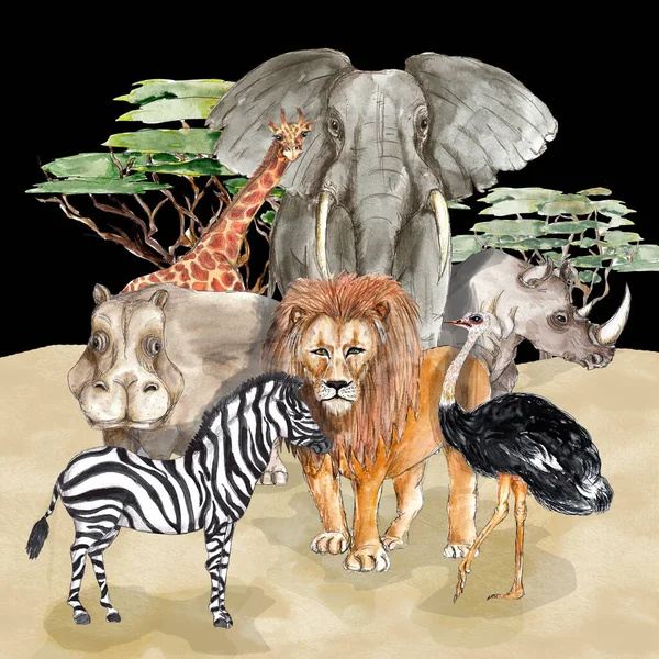 Safari Afrikanska Djur Porträtt Akvarell Illustration — Stockfoto