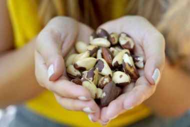 Brazil nuts. Close-up of female hands holding Brazil nuts.