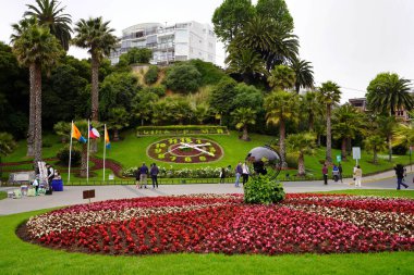 VINA DEL MAR, ŞİLYE - 29 Ekim 2024: Çiçek Saati (Reloj de Flores) Vina del Mar, Valparaiso, Şili