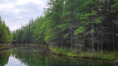 Kitch-Iti-Kipi (Büyük Bahar). Michigan, ABD 'deki en büyük doğal ve tatlı su kaynağı..