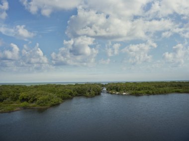Tahta Geçitli Florida Bataklıkları ve Güzel Gökyüzü