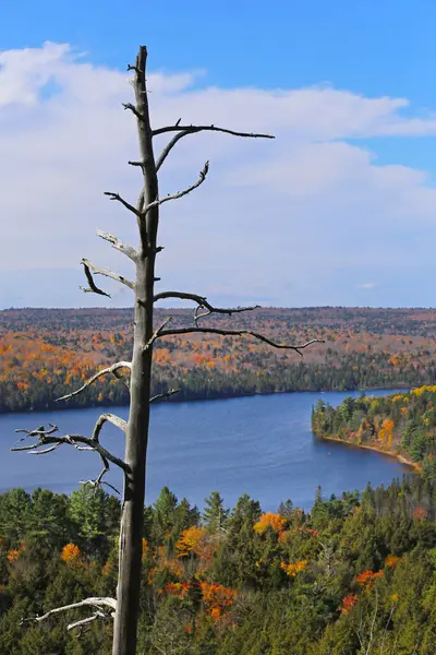Pohled Rock Lake Algonquin Park Ontario Kanada Kvalitní Fotografie — Stock fotografie