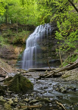 Tiffany Falls Hamilton, Kanada 'da. Yüksek kalite fotoğraf.