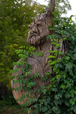 Terk edilmiş eski tahta Viking heykeli. Yüksek kalite fotoğraf.