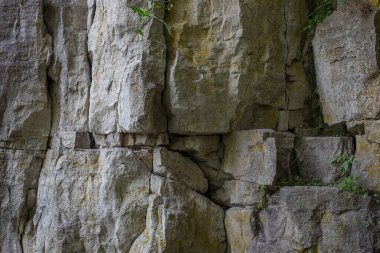 Ontario, Kanada 'daki Çıngıraklı Yılan Noktası Koruma Alanı' nda doğal taş heykel geçmişi.