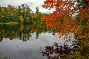 Kanada, Ontario 'daki Muskoka Nehri üzerindeki kırmızı akçaağaçlı manzara. 
