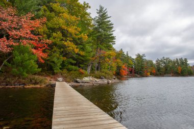 Hardy Gölü 'ndeki Tahta Köprü, Muskoka Bölgesi, Kanada.