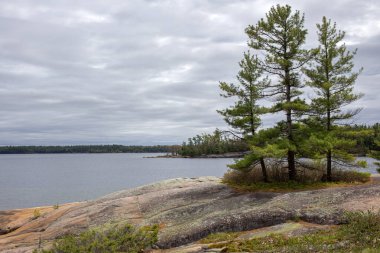 Rocky Shore 'da Çam Ağaçları Bulutlu Gökyüzü Altında, Ontario, Kanada.