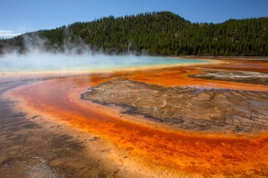 Yellowstone Ulusal Parkı 'ndaki Grand Prismatic Havuzu, ABD.