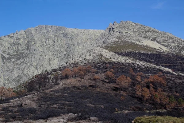 一场大火之后 与一座山一起拍出的壮观风景 — 图库照片