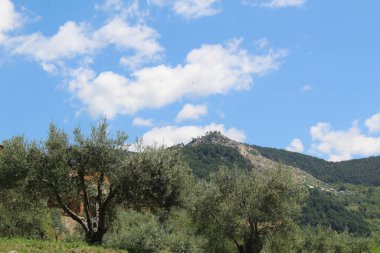 Dağlarda da yeşil ağaçlar var.