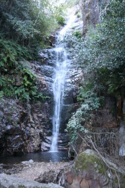 El Chorro de los Navalucillos is an impressive waterfall located in the Cabaeros National Park, in Castilla-La Mancha, the route to reach this waterfall is very popular among hikers. clipart