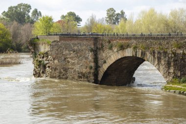 Roma Köprüsü. Son zamanlardaki şiddetli yağmurlar Tagus Nehri 'nin Talavera de la Reina ve Toledo gibi bazı bölgelerde taşmasına neden oldu. Bu da sele ve yükselen nehirlere yol açtı..