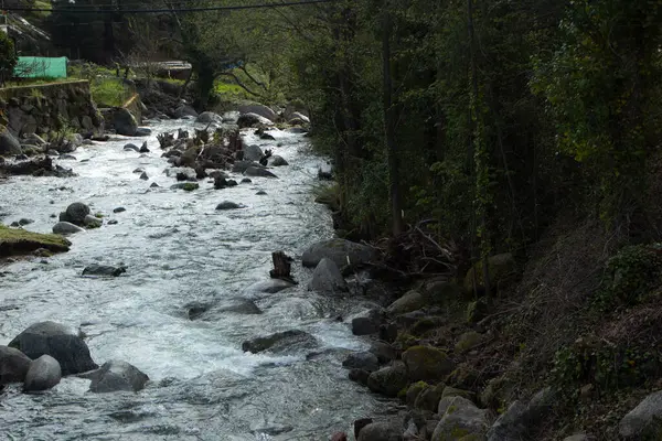 Nehir ve nehirler bahar yağmurundan sonra taşar,