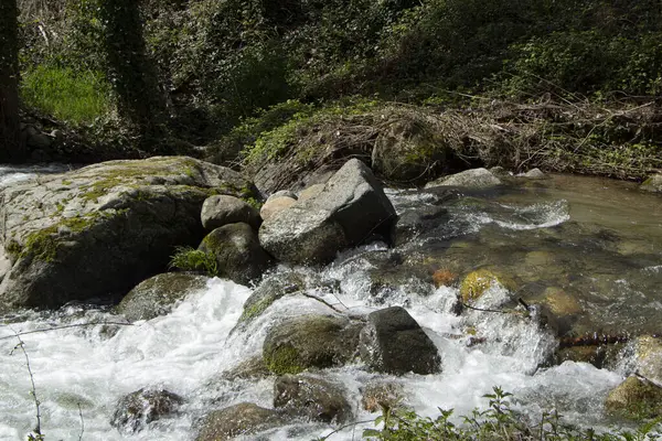 Nehir ve nehirler bahar yağmurundan sonra taşar,