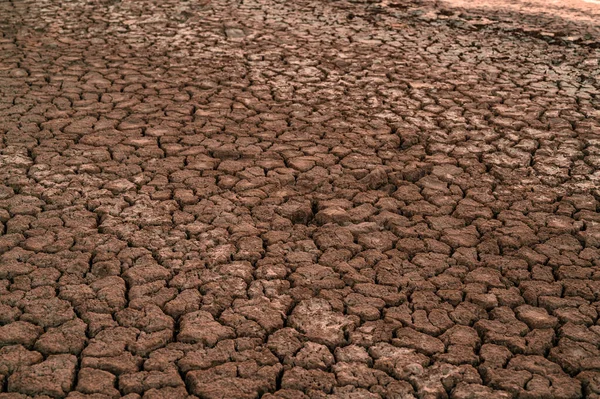Вид Воздуха Красивые Трещины Земле Воздействие Жары Засухи Последствия Глобального Лицензионные Стоковые Изображения