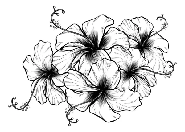 Hibiscus Bloemen Een Vintage Retro Houtsnede Gegraveerde Ets Stijl — Stockvector