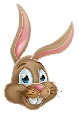 The Easter bunny cartoon character illustration clipart