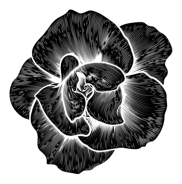 Ein Rosenblütenholzschnitt Retro Radierstil — Stockvektor