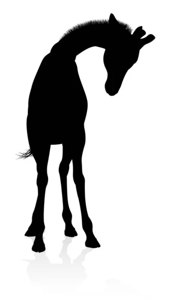 Vysoce Kvalitní Silueta Žirafy — Stockový vektor