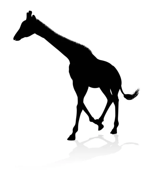 Eine Hochwertige Giraffensilhouette — Stockvektor
